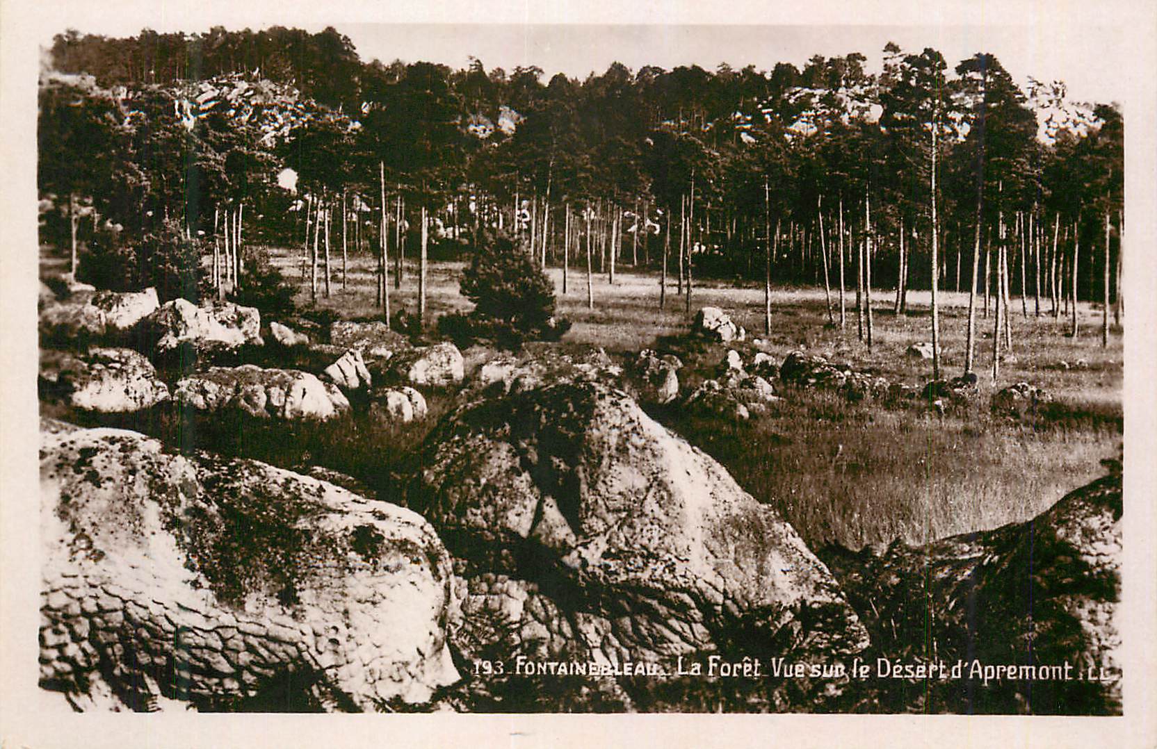 Fontainebleau — La Forêt vue sur le Désert d'Aprémont — 193